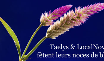 Actualites LocalNova 3 ans de partenariat Taelys